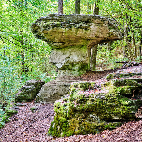 Im Wald erhebt sich eine Felsformation, die wie ein runder Tisch aussieht.