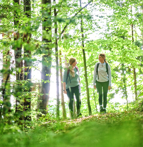 Zwei Frauen wandern durch einen hellgrünen Laubwald.