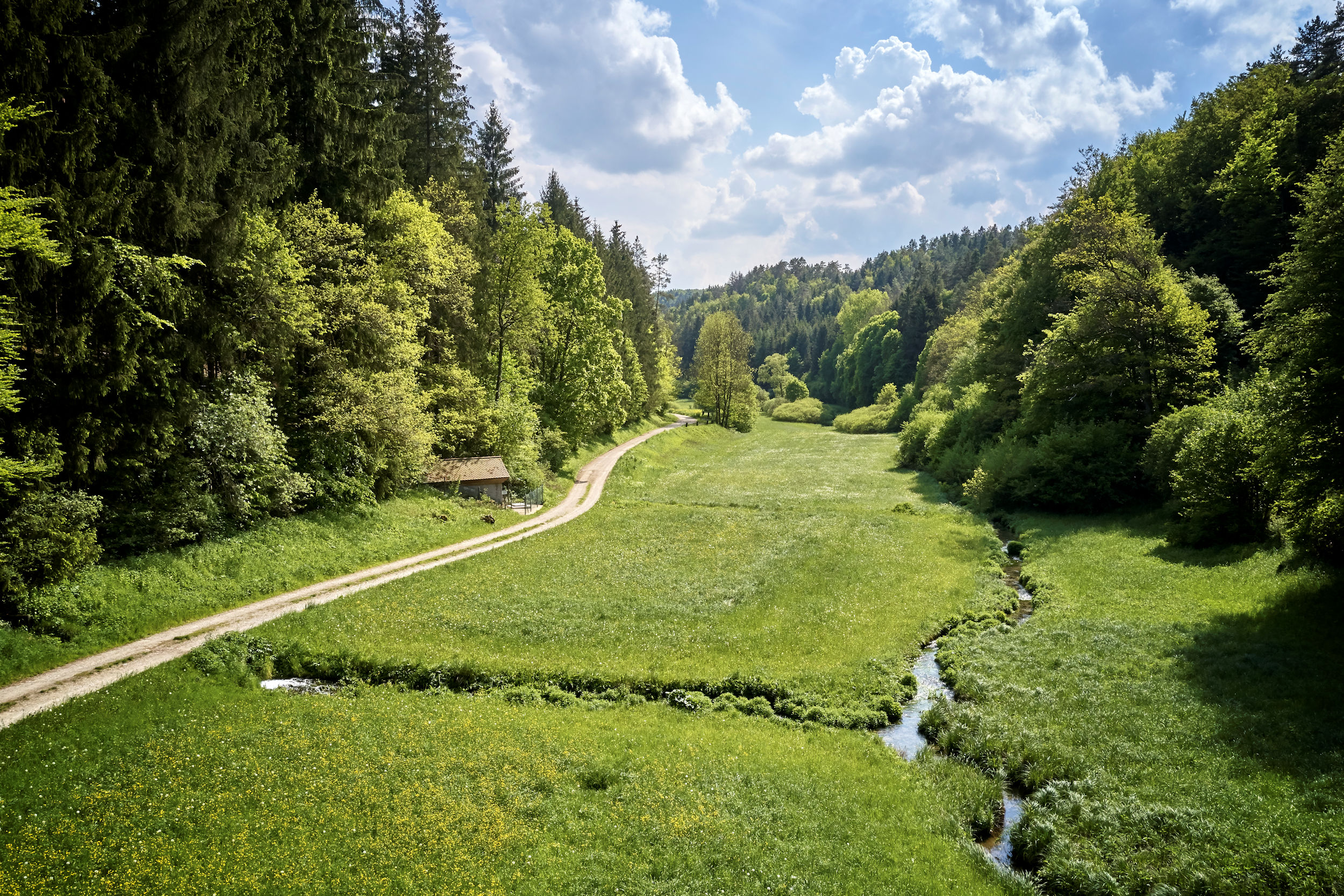 Blick in ein grünes Tal, durch das sich ein Bach sowie ein Wanderweg schlängeln.
